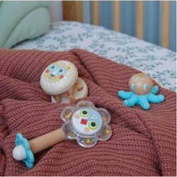 Babykit : chezlescanailles