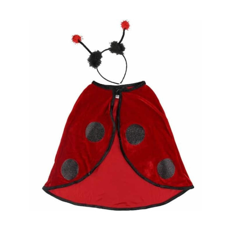 Costume coccinelle : chezlescanailles