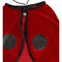Costume coccinelle : chezlescanailles