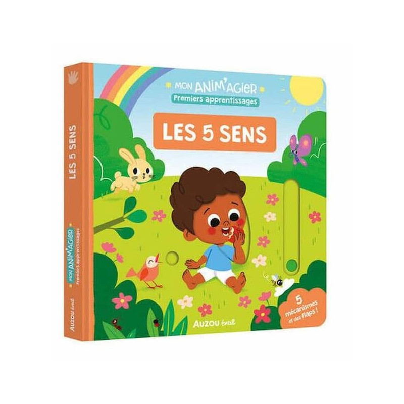 Premiers apprentissage - Les 5 sens : chezlescanailles 