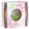 Donut - Kiwis : chezlescanailles