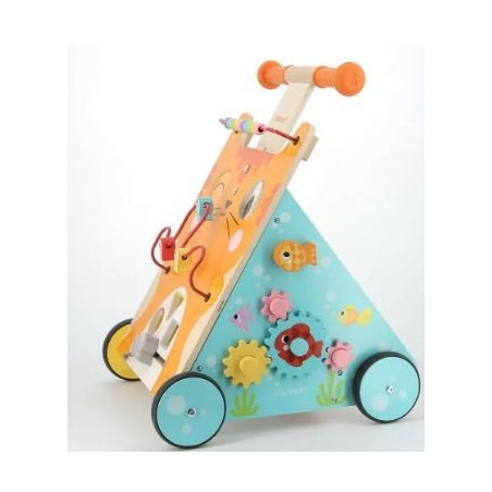 Chariot multi-activites chat 