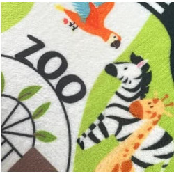 Tapis julian -chezlescanailles