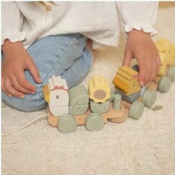 Train a Blocs poule: chezlescanailles