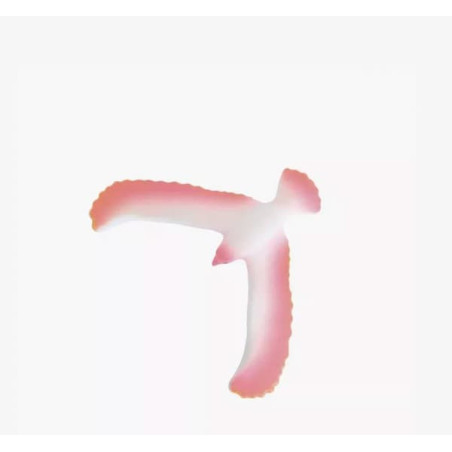 oiseau equilibriste orange - chezlescanailles