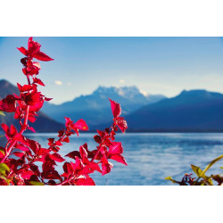 le parachutiste de lextreme orange - chezlescanailles