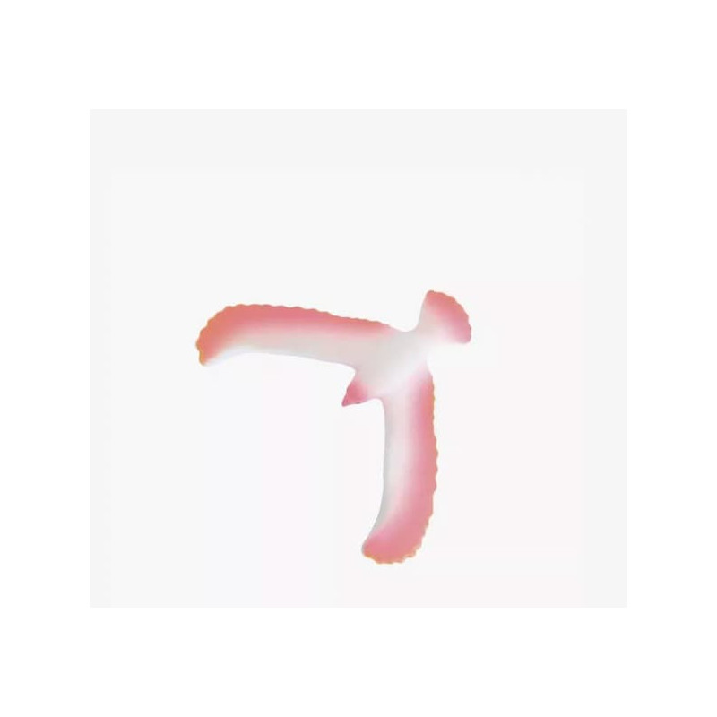 oiseau equilibriste orange - chezlescanailles