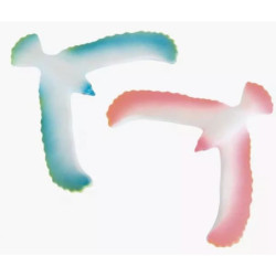 oiseau equilibriste bleu - chezlescanailles