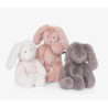 lapin creme Arthur et Louison - chezlescanailles