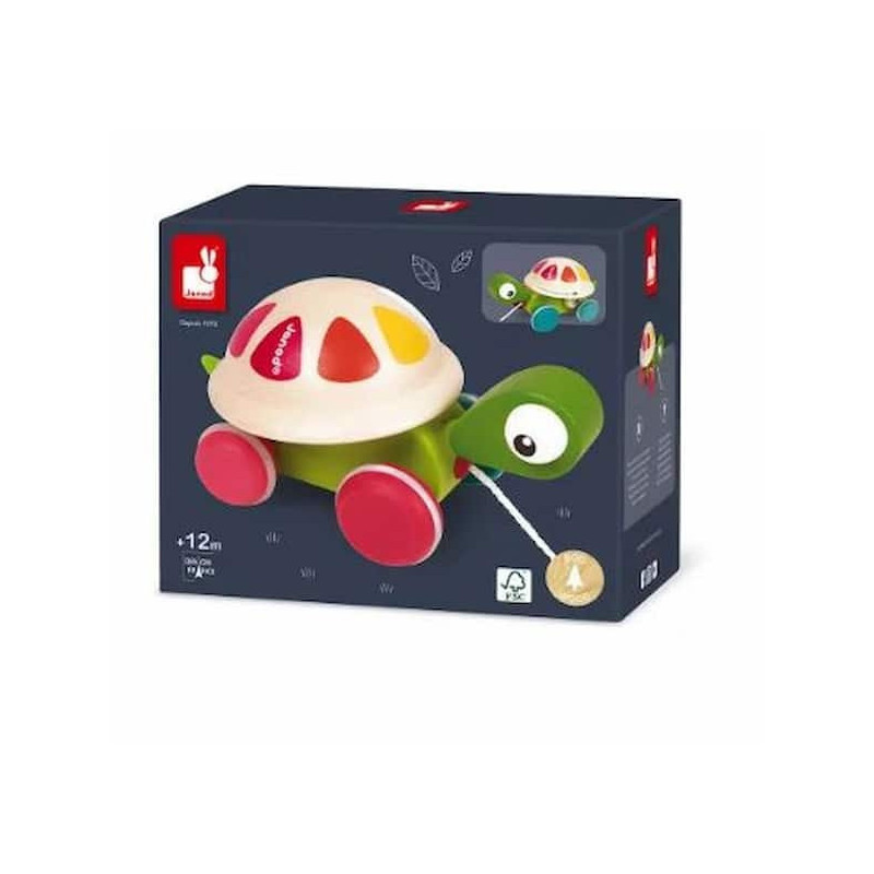 Tortue à promener : chezlescanailles 