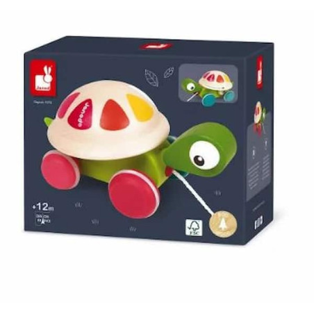 Tortue à promener : chezlescanailles 