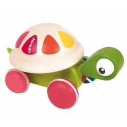 Tortue à promener : chezlescanailles 