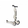 Porteur et Trottinette 2-1 HIGHWAYKICK 1 - ASH : chezlescanailles