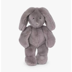 Lapin gris Arthur et Louison - chezlescanailles