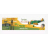Avion - thunderbolt  : chezlescanailles