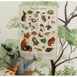 Coffret decouverte des animaux - chezlescanailles