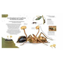 Anthologie insolite - Nature : chezlescanailles