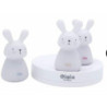 Veilleuse trio lapin :  chezlescanailles 