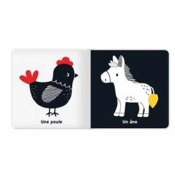 Premier flap de la ferme : chezlescanailles 